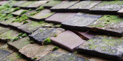 Maesgwynne roof repair costs